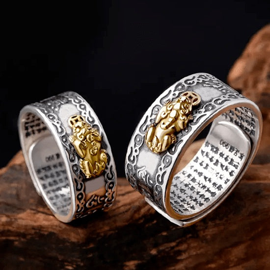 Par de anéis Feng Shui clássicos de prata com detalhes dourados, promoção Compre 1 Leve 2 com brinde exclusivo no Pelicano Azul